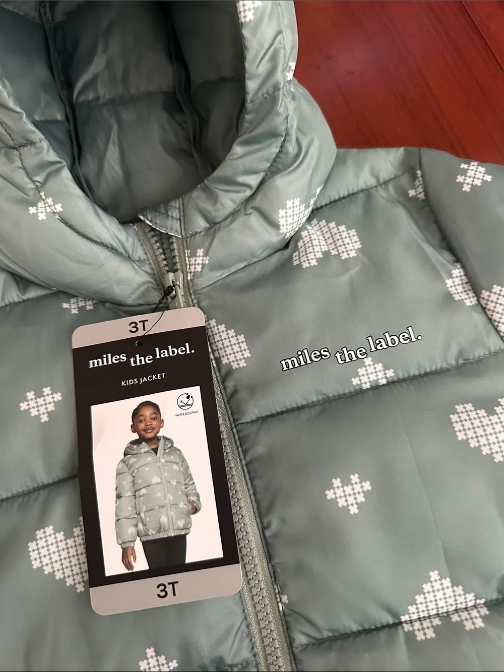 Toddler Hooded Puffer Jacket in Mint with Heart Print - 3T